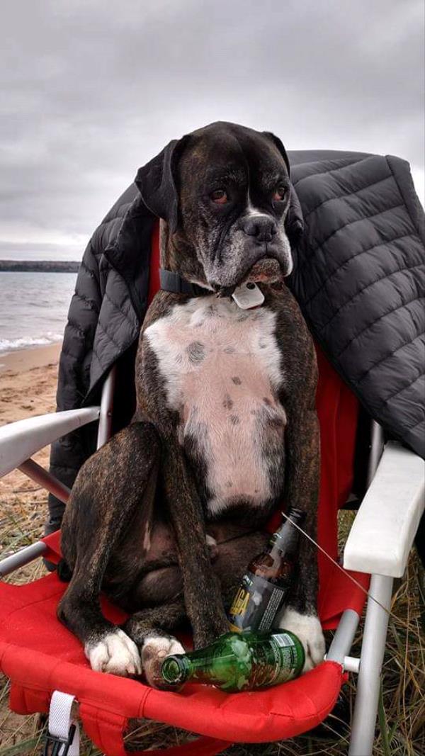 /Images/uploads/Minnesota Spay Neuter Assistance Program/MNSNAP/entries/9404thumb.jpg